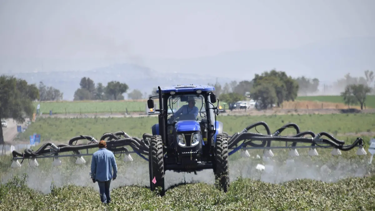 F CARMONA COFOCE AGRO (2)